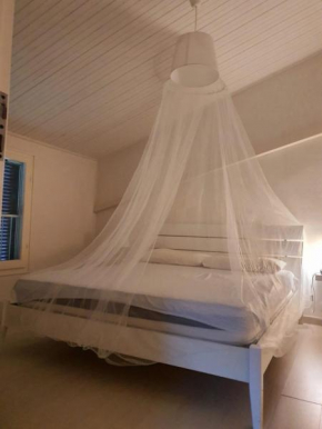 Hotels in Lido Di Volano